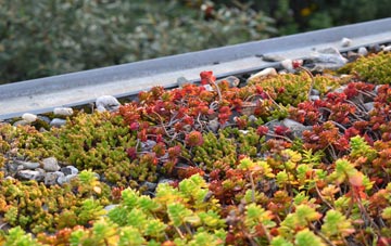 the cost of Lathbury green roof installation