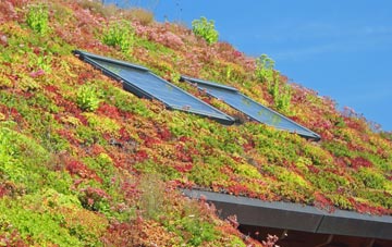Lathbury living roof systems